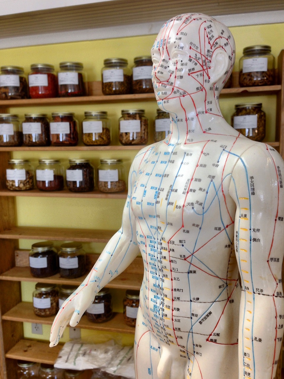 Why Should You Consider Acupuncture?